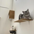 ユーザー画像