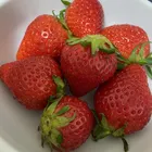 ユーザー画像