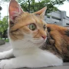 ユーザー画像