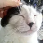ユーザー画像