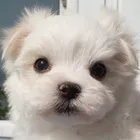 ユーザー画像