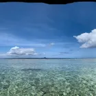 ユーザー画像