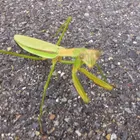 ユーザー画像
