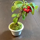 ユーザー画像
