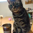 ユーザー画像