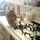 ユーザー画像