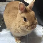 ユーザー画像
