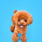 ユーザー画像