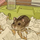 ユーザー画像