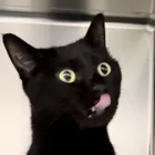 ユーザー画像