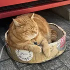 ユーザー画像