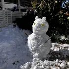 ユーザー画像