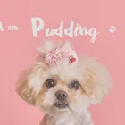 ユーザー画像