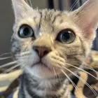 ユーザー画像