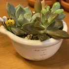 ユーザー画像