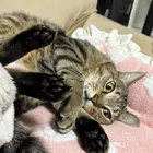 ユーザー画像