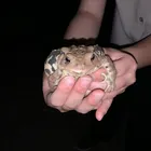 ユーザー画像