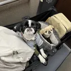 ユーザー画像
