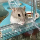 ユーザー画像