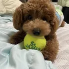 ユーザー画像