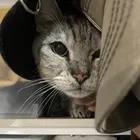 ユーザー画像