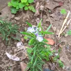 ユーザー画像