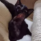 ユーザー画像