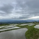 ユーザー画像