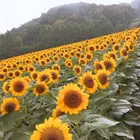 ユーザー画像
