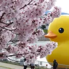 ユーザー画像