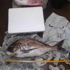 ユーザー画像
