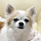 ユーザー画像