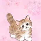 ユーザー画像