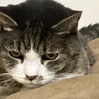 ユーザー画像