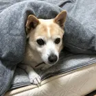 ユーザー画像