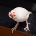 ユーザー画像