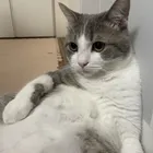 ユーザー画像