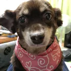 ユーザー画像