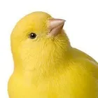 ユーザー画像