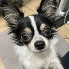ユーザー画像