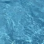 サーラ