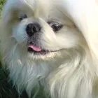 ユーザー画像