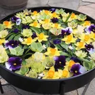 ユーザー画像