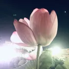 ユーザー画像