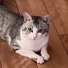 ユーザー画像