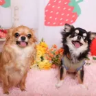 ユーザー画像