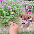 ユーザー画像