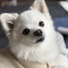 ユーザー画像