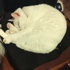 ゆう