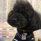 ユーザー画像